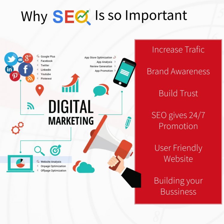 Digital Marketing or SEO – Which Should I Learn?